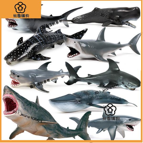 【學習模型】鯊魚鯨魚大白鯊抹香鯨巨齒鯊鯨鯊虎鯊藍鯨玩具塑膠玩偶迷你手辦擺件仿真動物模型兒童海洋生物公仔