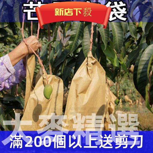💯台灣出貨💯芒果專用套袋 芒果紙袋 芒果套袋 雙層育果袋 芒果袋子 防雨 防蟲 防果蠅