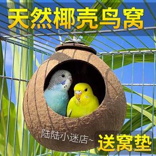 🚀台灣熱賣 椰子殼鳥窩 鸚鵡窩 鸚鵡鳥巢 鸚鵡鳥籠 鸚鵡保暖窩 椰子殼窩 鳥巢 鳥窩 虎皮 牡丹 鳥玩具