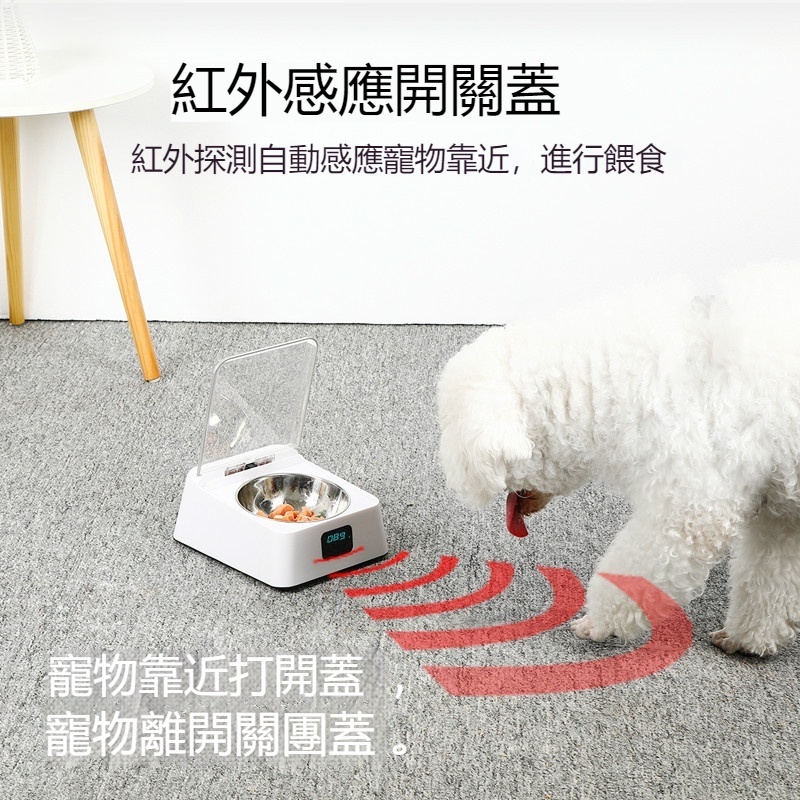 [臺灣出貨]貓咪餵食 智能餵食器 健康5G碗 USB充電 感應開關蓋 自動餵食器 智能餵食器 貓咪 餵食 飼料機