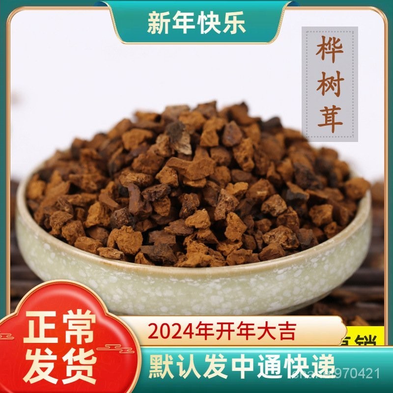 白樺茸俄羅斯樺樹淚樺樹茸NcYwrdFE