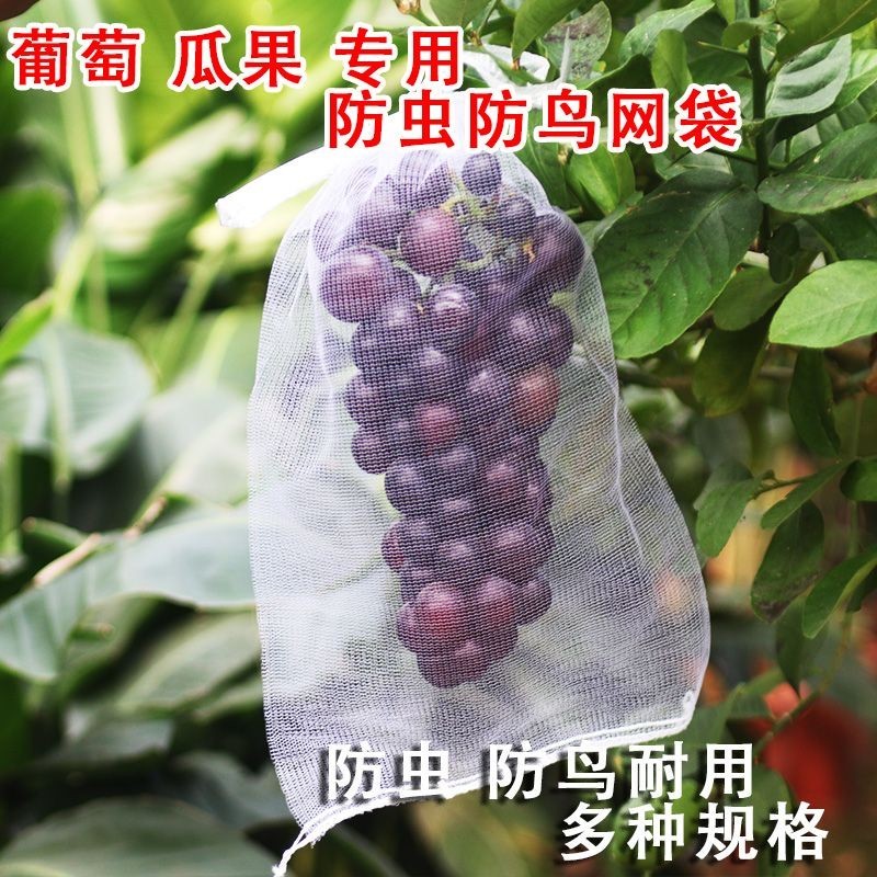 【葡萄套袋】水果防蟲防鳥網袋水果枇杷透氣保護袋果樹防鳥網袋JQP6