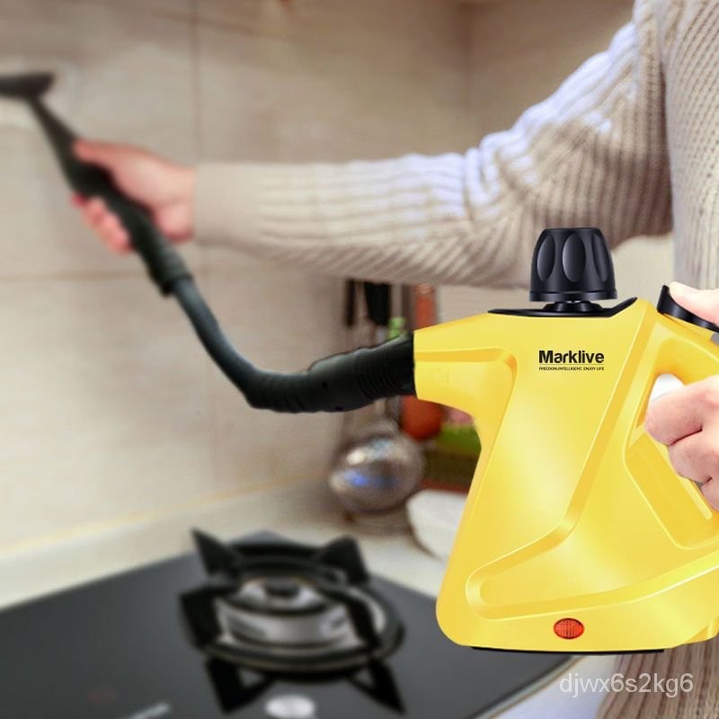 德國傢用多功能蒸汽清潔機 廚房去油汙 高溫高壓空調清洗工具全套 LLG2