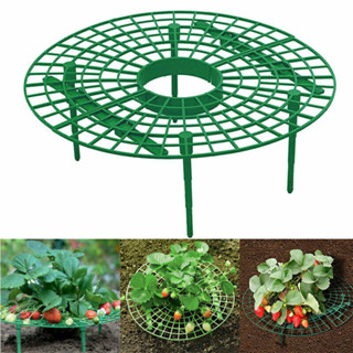 享園藝~草莓架陽臺種菜架植物爬藤支柱園藝支架
