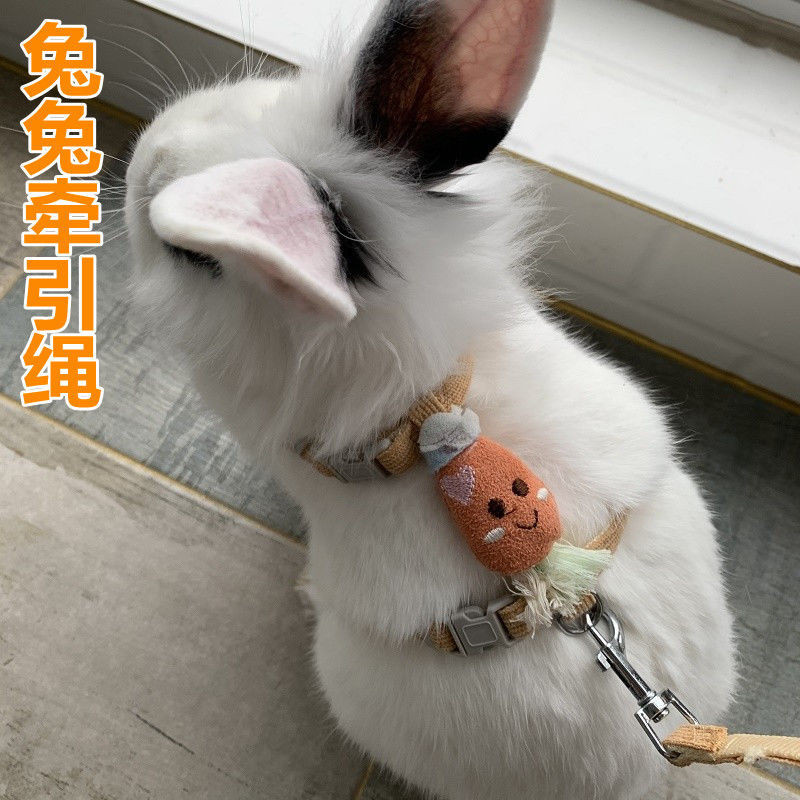 兔子牽引繩兔兔外出的繩子神器寵物專用遛兔繩溜兔繩防掙脫可調節 溜兔繩 寵物牽引繩 兔子外出繩 兔兔外出繩