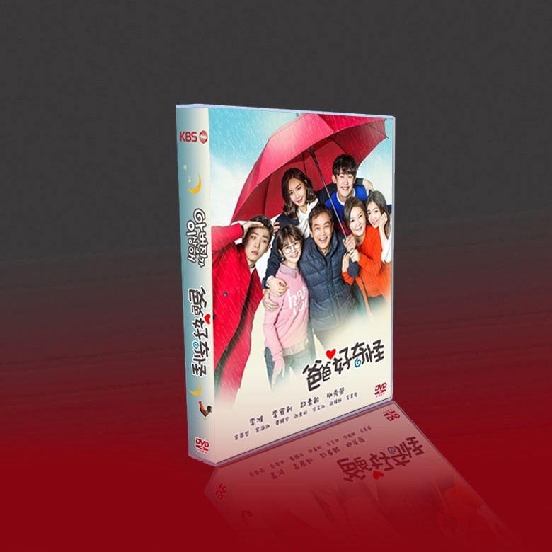 經典韓劇 爸爸好奇怪 國韓雙語 李準/李宥利/鄭素敏 12碟DVD光碟片盒裝/NEW賣場