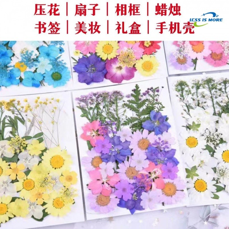 幹花壓花塑封材料包 迷你幹花diy書簽滴膠手工手機殻押花植物標本 永生花材料包 植物果實 花材 花藝 手做 乾燥花