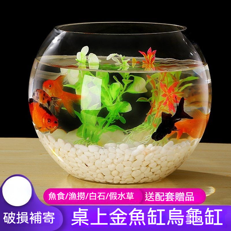 圓形魚缸 水切缸 球形水族缸 圓球玻璃小費箱 球型玻璃花器 玻璃花盆 球型花瓶 養魚植栽專用缸