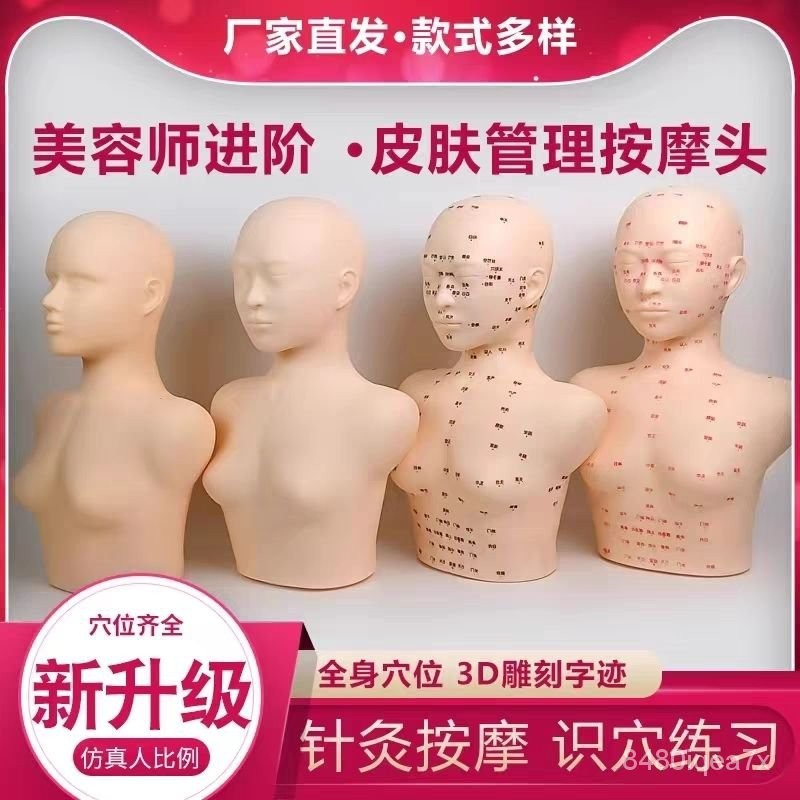 店長推薦🔥皮膚管理頭模學假人頭頭部模型模特頭臉部按摩光頭帶肩膀 LEBF