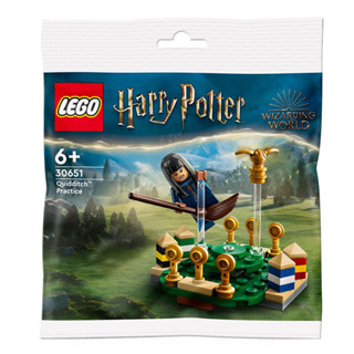 LEGO 30651 魁地奇訓練 哈利波特系列 【必買站】樂高盒組