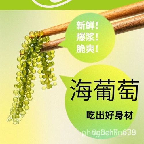 💟3天出 量大價更優💟代購精美新鮮鹽漬海葡萄 100g/袋 卽食泡髮 綠色海葡萄