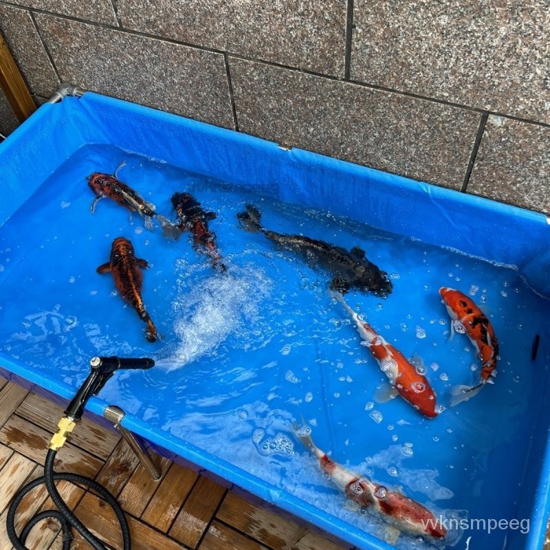 特大號傢用烏龜缸 帆佈加厚帶支架 戶外金魚缸 養魚螃蟹養殖箱 釣魚池