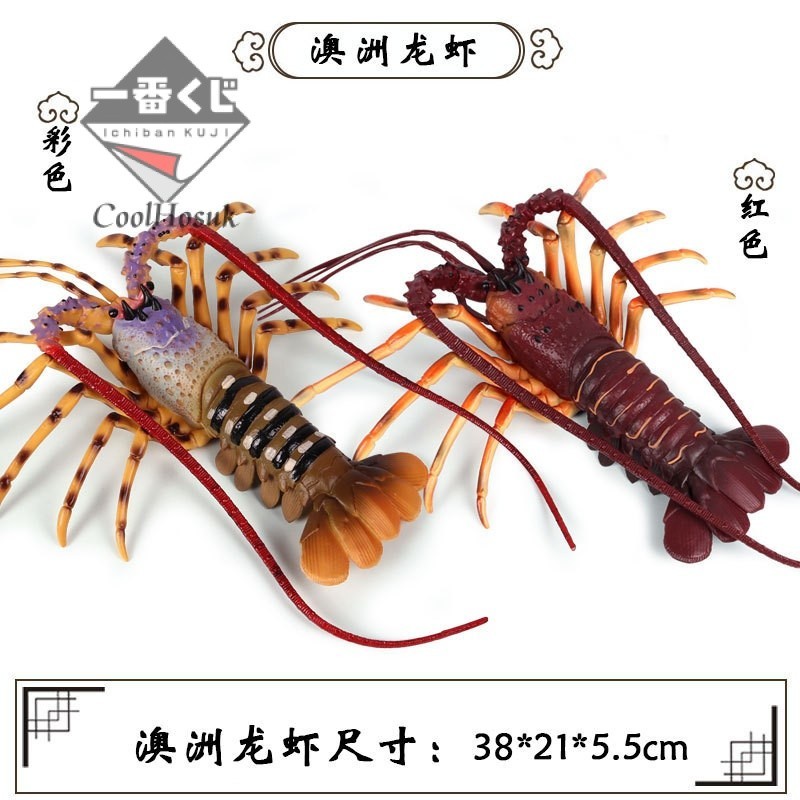 💎臺灣模玩💎仿真認知海洋海底生物動物玩具模型野生大號龍蝦寄居蟹螃蟹皮皮蝦