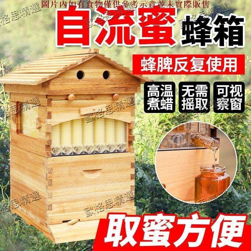 現貨/可開發票/蜜蜂箱自流蜜全套養蜂箱雙層帶巢框自動取蜜器意蜂養蜂工具蜂大哥