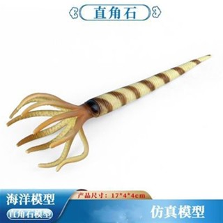 🧨臺灣出貨🧨遠古時代動物模型兒童模擬直角石史前海洋生物認知玩具擺件批發