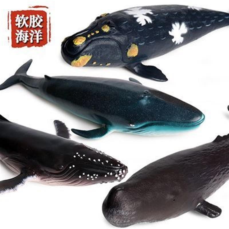 🧨台灣出貨🧨兒童科教玩具仿真海洋動物模型擺件手辦軟膠抹香鯨虎鯨座頭鯨藍鯨