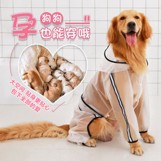 春夏 新款 寵物 外出 中 大型 犬 戶外 四腳 大狗 連帽 狗狗 防水 透明 雨衣 寵物雨具 防雨服