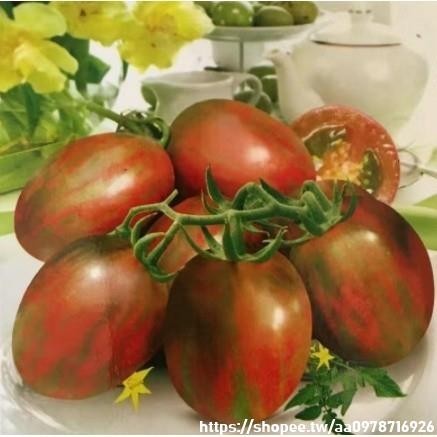 🔥新款瀑布番茄大全🔥一份200粒🔥聖女果櫻桃番茄 水果種籽 番茄種子
