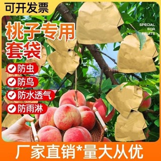 🔥臺灣出貨 桃子套袋專用袋水蜜桃冬桃蟠桃黃桃專用網袋防蟲防鳥水果樹紙袋子