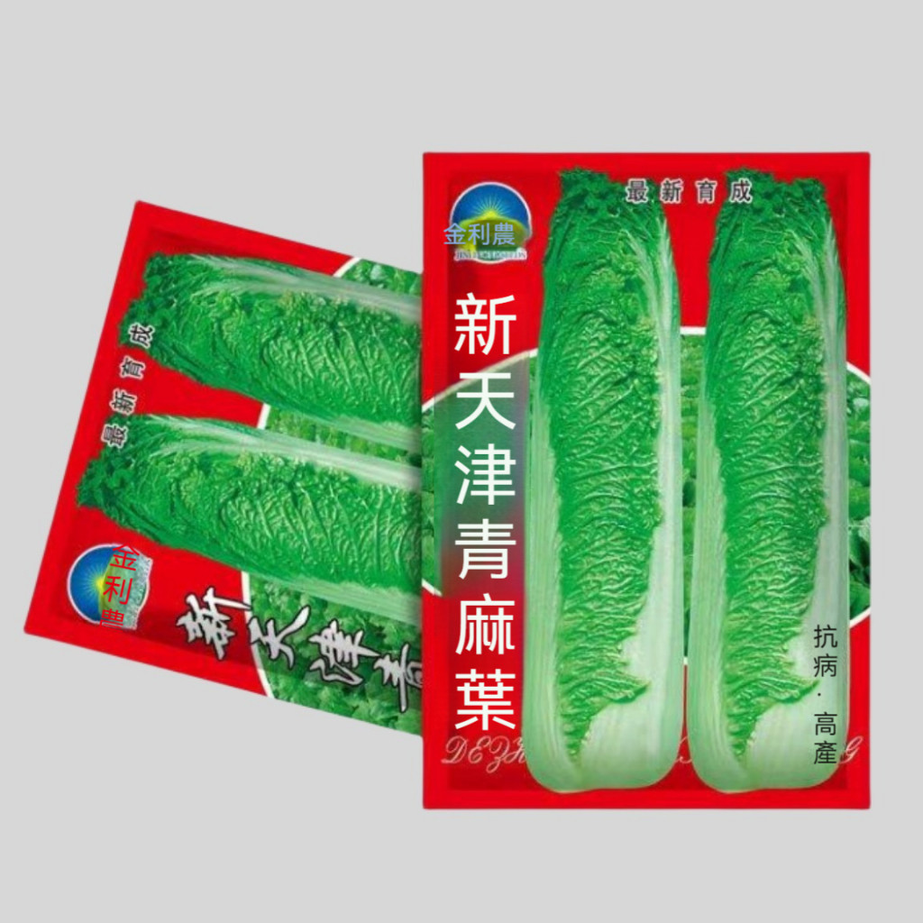 現貨下殺 A13 白菜種子 新天津青麻葉 大白菜種子 一袋約1000粒 蔬菜種子 原廠包裝 對版出貨 發芽率95%