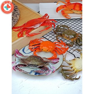 模具 模擬螃蟹龍蝦動物海鮮模型 海洋生物大閘蟹梭子蟹超市裝飾道具擺設裝飾品模擬道具模擬水果282