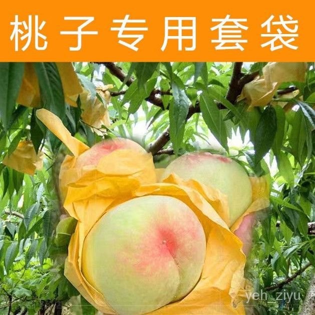 【本週推薦】桃子專用套袋水蜜桃冬桃蟠桃黃桃專用紙袋防鳥蟲水果專用果樹套袋