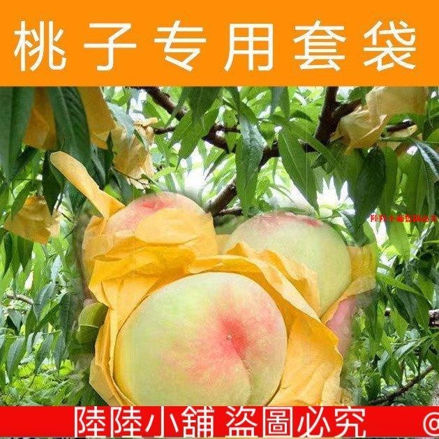 桃子專用套袋水蜜桃鼕桃蟠桃黃桃專用紙袋防鳥蟲專用果樹套袋 H5TN