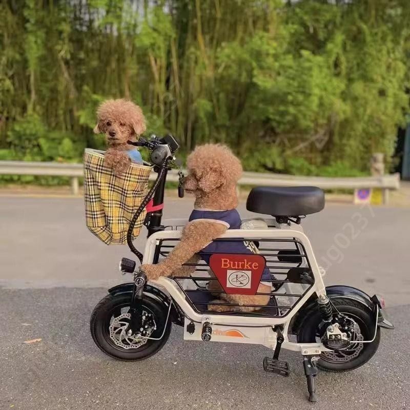 柏克小型電動車女新國標寵物車親子款成人接送孩子折疊電瓶車