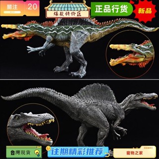 臺灣熱賣 模擬大號棘背龍模型 實心塑膠恐龍玩具 侏羅紀矮棘龍摩洛哥脊龍 兒童擺件 認知禮物