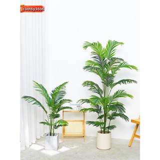 模擬樹 假樹 模擬綠植 假盆栽 大型盆栽 玄關綠植 仿真植物 散尾葵 盆栽 客廳擺件 假綠植 葵樹 大型模擬室內盆景