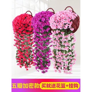 ★9RDG★模擬紫羅蘭花藤蔓吊蘭墻壁掛塑膠假花藤條裝飾室內客廳擺設件絹花