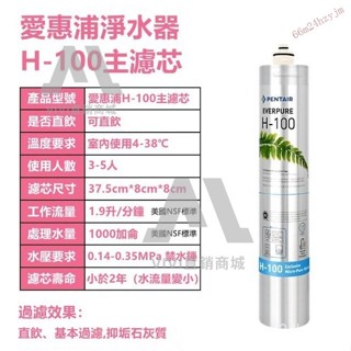 【臺灣優選】EVERPURE H100愛惠浦濾心 濾心 咖啡機製冰機淨水器 品質保證 幹淨水直接喝 愛惠浦濾心 916S