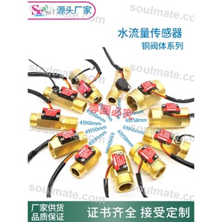 店長推薦/4分管霍爾流量計6分渦輪流量計熱水器飲水機水流量傳感器銅1寸管/聊聊客服開發票/量大有優惠/soulmate.