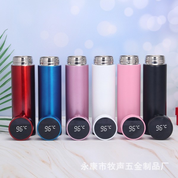 Vacuum Thermal Flask Water Bottle Insulted Tumbler Stainless