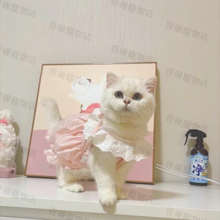 【壹碗】南瓜裙 寵物裙子 寵物衣服 狗狗衣服 狗衣服 貓衣服 寵物洋裝 寵物服飾 狗狗洋裝 小型犬衣服 寵物服裝