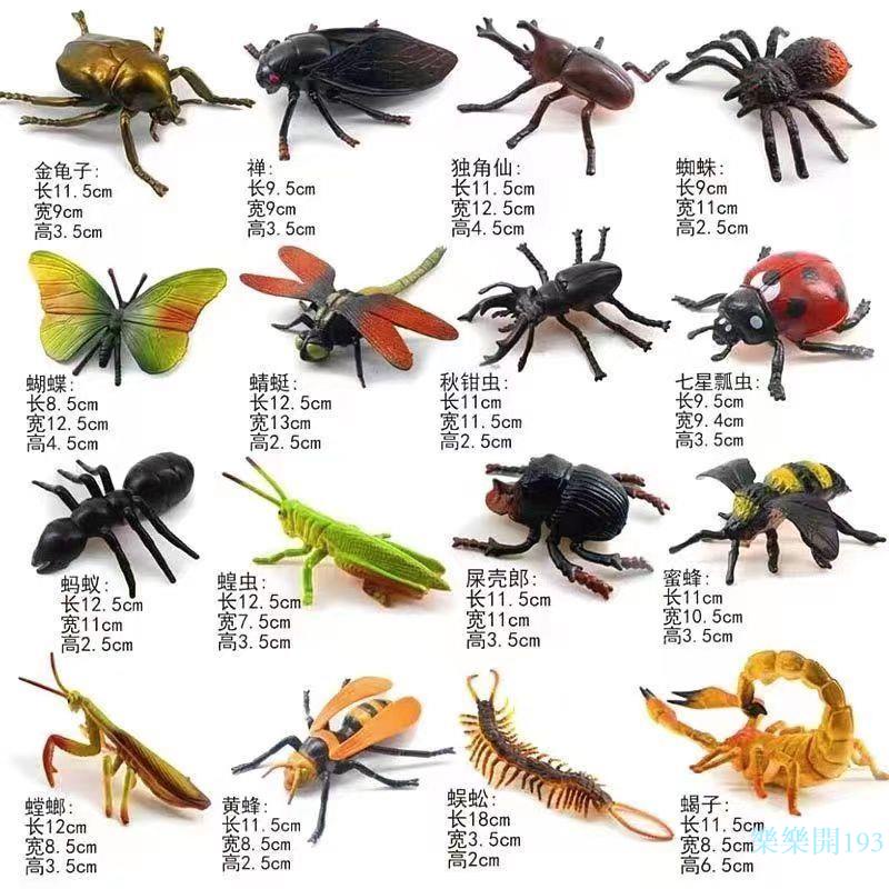 ✨✨老鷹仿真玩具 動物模型玩具 昆蟲玩具仿真動物套餐海底動物模型螞蟻蜘蛛蜜蜂軟膠兒童恐龍玩具