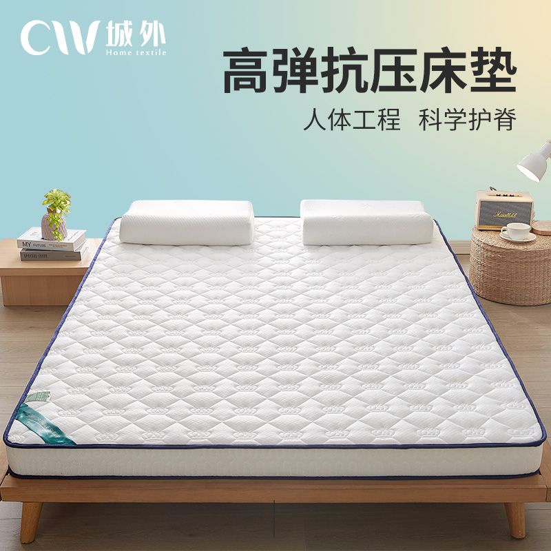 床墊軟墊傢用1.8米雙人榻榻米睡墊子學生宿捨出租房1.2米單人床褥