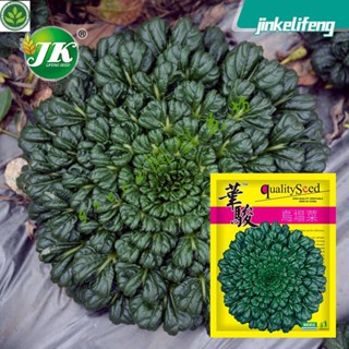 🌱烏塌菜種子耐寒青菜種籽春夏秋鼕季四季蔬菜種孑陽臺田園籽種 種子 種籽【green園藝花坊】