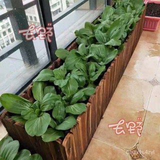 免運👍防腐木花箱工程長方形碳化實木花盆陽臺種菜盆戶外庭院組閤種植箱