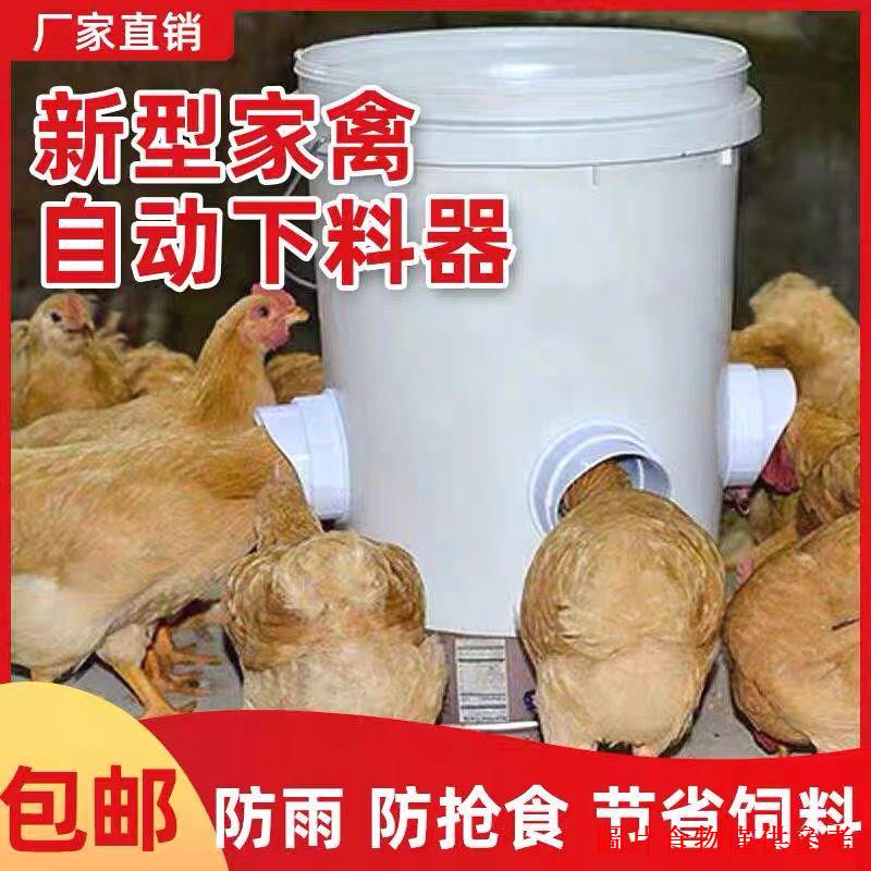 熱賣☼✿家禽自動餵食器餵雞食槽蘆丁雞飼料桶飲水器小雞鴨鵝自動餵雞神器
