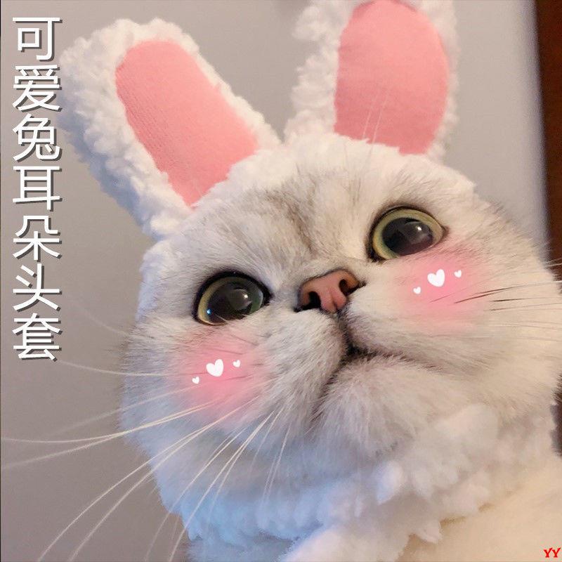 抖音網紅寵物貓咪兔子耳朵頭套保暖帽子可愛搞怪拍照頭飾