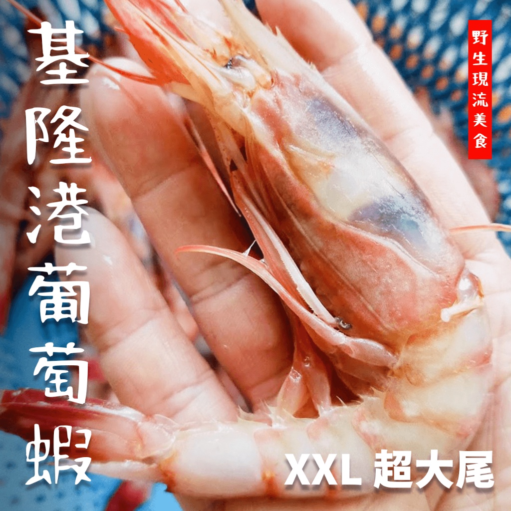 【潮鮮世代】XXL葡萄蝦/生食蝦/1000克20/30大尾正規型號