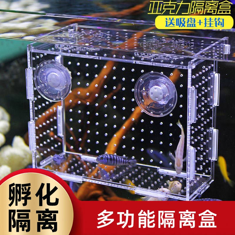 孔雀魚繁殖盒幼魚魚缸隔離盒鬥魚小魚苗產卵器熱帶魚亞克力孵化盒