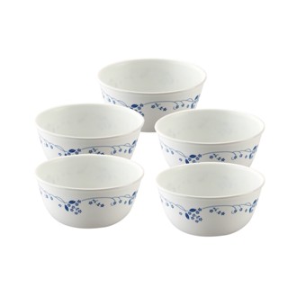 【美國康寧 corelle】古典藍5件式餐盤組(e20)