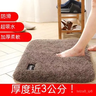加大加厚蛋糕絨地墊 浴室吸水地墊 地毯地墊 家用進門地墊 加厚長絨毛地毯 腳踏墊 衛生間廚房玄關墊 防滑地墊 止滑墊