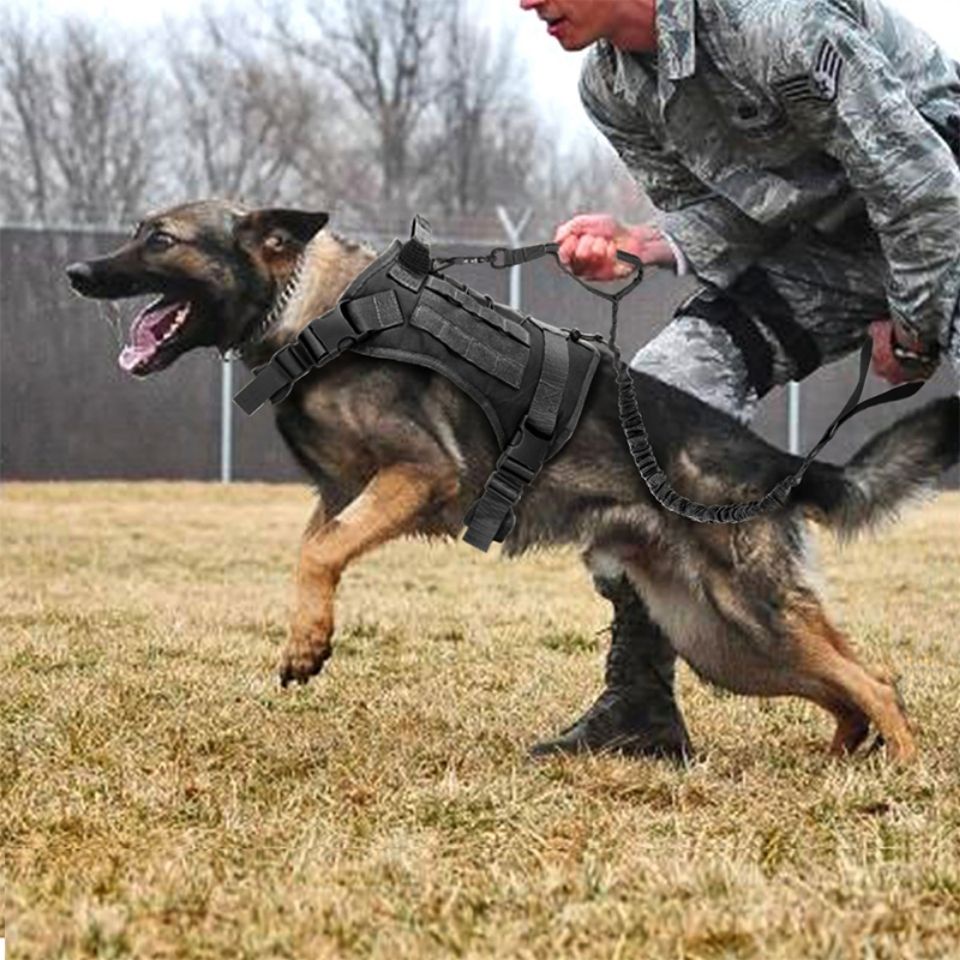 狗狗戰術胸背帶小型犬胸背帶馬犬訓練專用項圈牽引繩,狗狗戰術胸背帶背心式