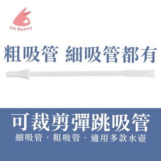 臺灣出貨👌水壺專用矽膠吸管 29cm 30cm 可拆卸清洗 長度可裁剪 1000ML適用 直飲水壺 環保吸管 三節吸管