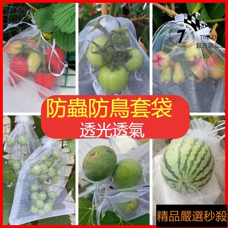台灣出庫✨水果套袋防鳥防蟲專用網袋葡萄無花果枇杷芒果蘋果袋草莓保護袋子
