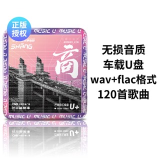 ㊣熱賣 流行#車載隨身碟華語歌曲流行情歌藍調音樂無損高音質車用優盤高品質/音樂/教育/學習152222350