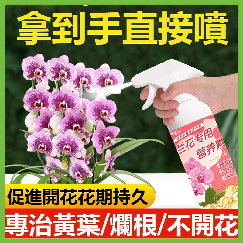 蘭花 專用 營養液 肥料 免稀釋 種養促開花卉 蘭科君子 蘭蝴蝶 蘭植物